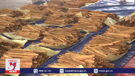 Truyền thông về kinh tế dược liệu và truy xuất nguồn gốc