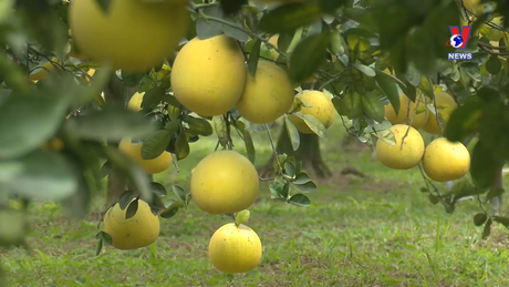 Bản tin tiếng Anh ngày 06/12/2023
