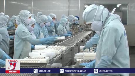 Biến đổi cơ cấu dân số - Tác động tới phát triển kinh tế