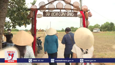 Du khách thích thú trải nghiệm làm nông ở Trà Vinh