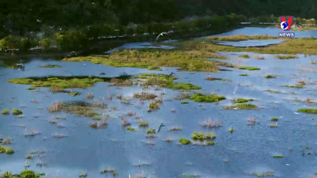 Văn hóa toàn cảnh ngày 06/12/2023