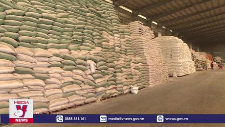 Giá gạo Việt lập đỉnh mới