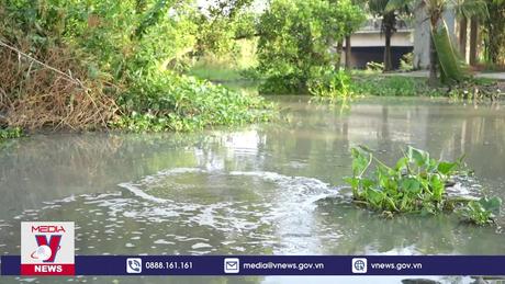 Dòng nước ô nhiễm đổ ra sông Vàm Cỏ Đông