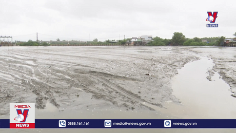 Sông Hà Thanh, Bình Định bị bức tử bởi bùn thải 