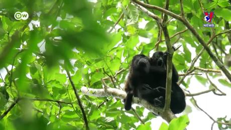 Tương Lai Xanh ngày 07/12/2023