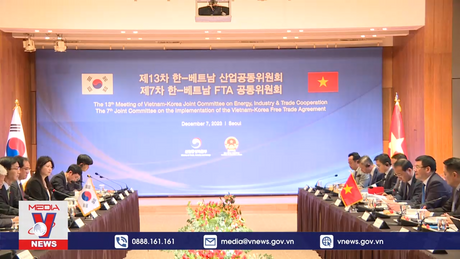 Thúc đẩy hợp tác thương mại, công nghiệp và năng lượng  giữa Việt Nam - Hàn Quốc
