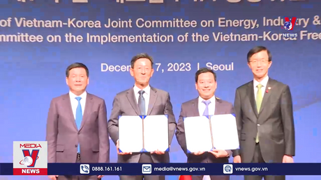 Bản tin Thời sự 17h ngày 08/12/2023