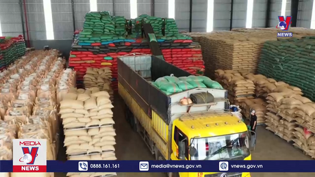 Bản tin thời sự 11h ngày 09/12/2023