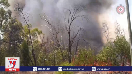 Nắng nóng kỷ lục bao trùm thành phố Sydney (Australia)