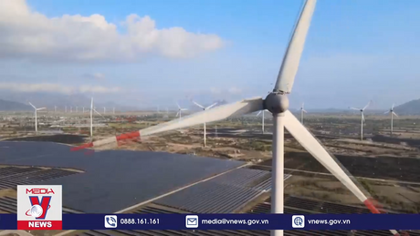 Thu hồi văn bản đề xuất hạ giá mua điện tái tạo