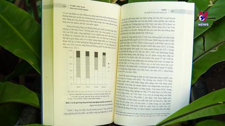 Văn hóa toàn cảnh ngày 11/12/2023