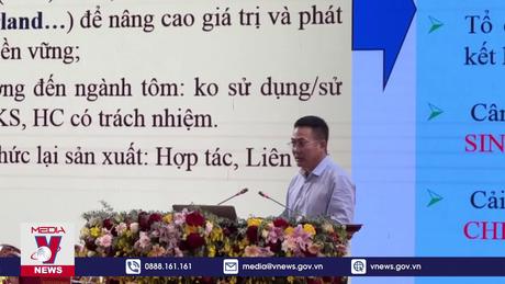 Ngành tôm Việt Nam chủ động nhận diện thời cơ, thách thức