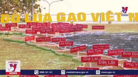 Tái hiện hành trình ngàn năm lúa gạo Việt Nam 