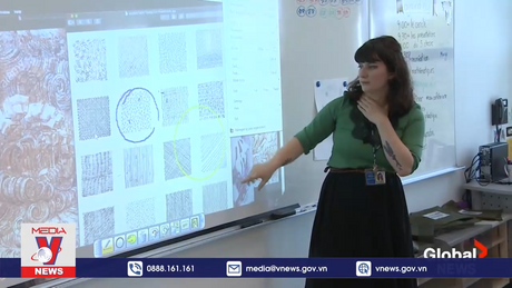 Giáo viên cũng là nạn nhân của bạo lực học đường