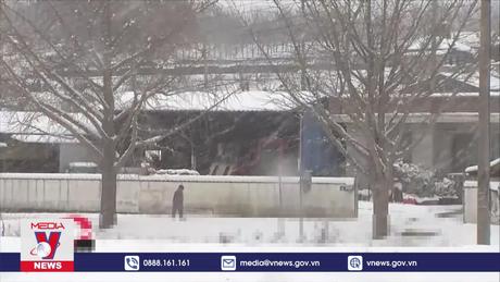 Hàn Quốc nỗ lực ứng phó với mưa lớn và tuyết rơi dày