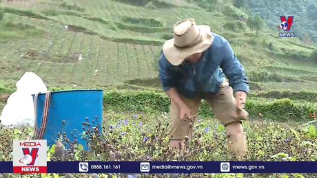 Bản tin thời sự 17h ngày 11/12/2023