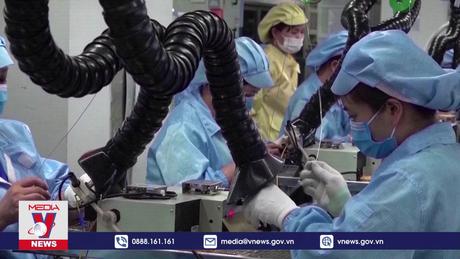 Thương mại toàn cầu giảm 5% so với năm ngoái