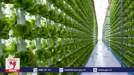 Mô hình trang trại nổi thích ứng với biến đổi khí hậu