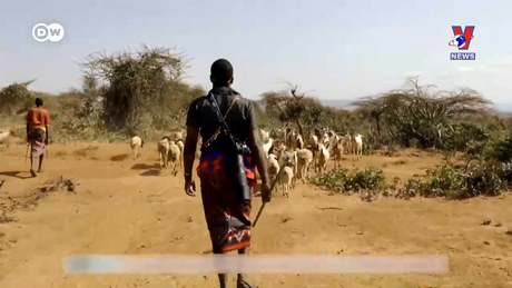 Tạp chí toàn cầu số 833 ngày 12/12/2023