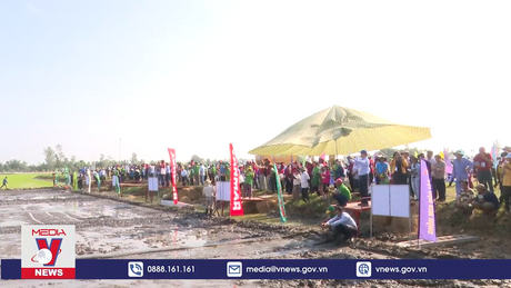 Phát triển 1 triệu ha lúa chất lượng cao, phát thải thấp