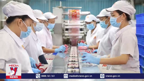 35% lao động chọn thôi việc khi khó cân bằng cuộc sống