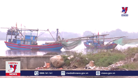 Bản tin Thời sự 17h ngày 12/12/2023