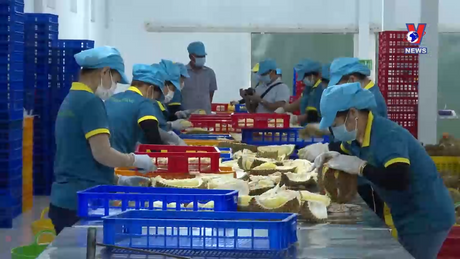 Bản tin tiếng Trung ngày 12/12/2023