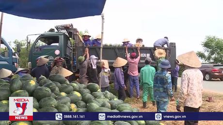 Dưa hấu Việt Nam được xuất chính ngạch sang Trung Quốc