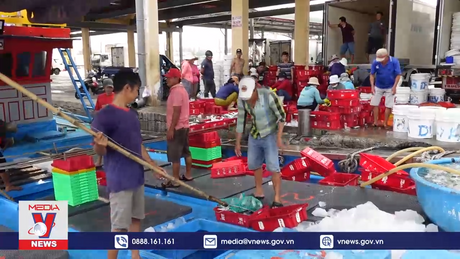 Mở đợt cao điểm chống khai thác hải sản bất hợp pháp