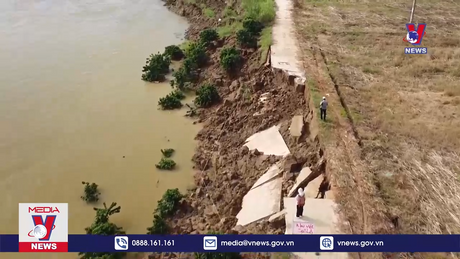 Bản tin thời sự 8h ngày 14/12/2023