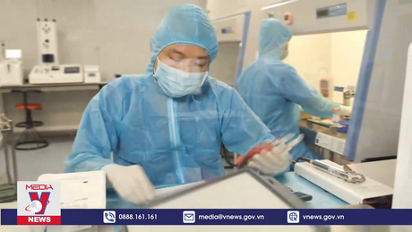 Hồi sinh những cuộc đời nhờ ghép tế bào gốc