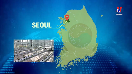 Tương Lai Xanh ngày 14/12/2023