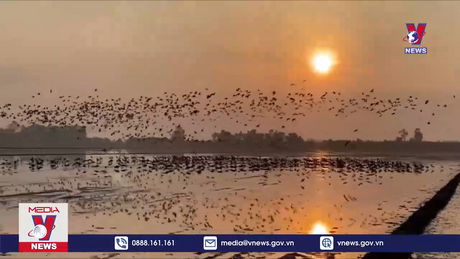 Bản tin thời sự 13h ngày 14/12/2023