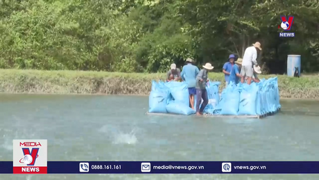 Năm 2024, phấn đấu xuất khẩu ngành hàng cá tra đạt 2 tỷ USD