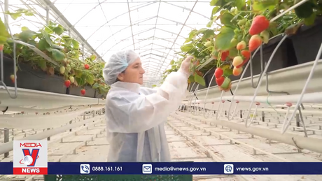 Nga phát triển nông nghiệp xanh