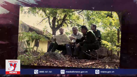 Radar Văn hóa: Hồi ký 