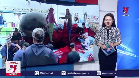 Bản tin thời sự 8h ngày 15/12/2023