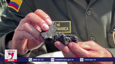 Colombia thu giữ 2 tấn cocain giấu trong than củi