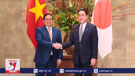 Thủ tướng Phạm Minh Chính hội đàm Thủ tướng Kishida Fumio