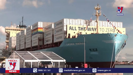 Bản tin thời sự 11h ngày 16/12/2023