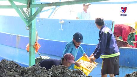 Khoảnh khắc & sự kiện ngày 16/12/2023