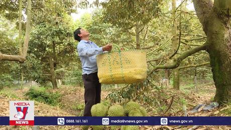 Hiệu quả liên kết sản xuất nông nghiệp ở Đồng Nai