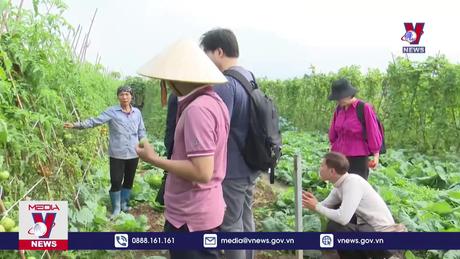 Trải nghiệm du lịch nông nghiệp độc đáo ở ven đô 