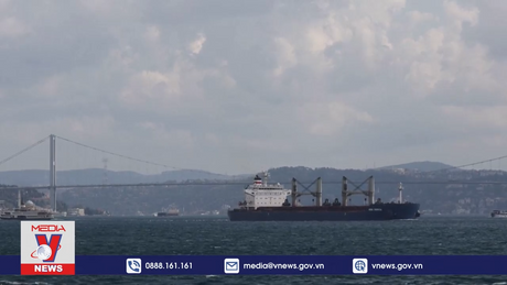 Nỗ lực khôi phục Thỏa thuận ngũ cốc biển Đen