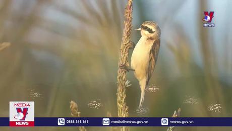 Đưa ảnh từ Việt Nam ra nước ngoài triển lãm phải xin phép