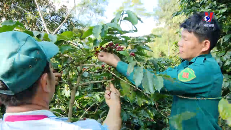 Đào tạo nghề vắn với thế mạnh địa phương để giảm nghèo bền vững