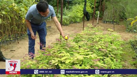 Bảo tồn đa dạng sinh học rừng Bà Nà - Núi Chúa