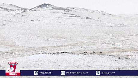 Tuyết dày bao phủ phần lớn lãnh thổ Mông Cổ