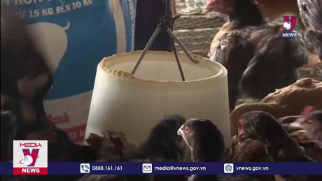 Phê duyệt Đề án Phát triển công nghiệp chế biến thức ăn chăn nuôi