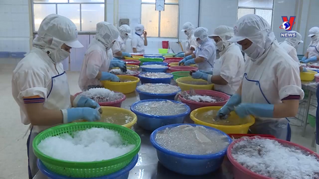 Bản tin tiếng Trung ngày 20/12/2023